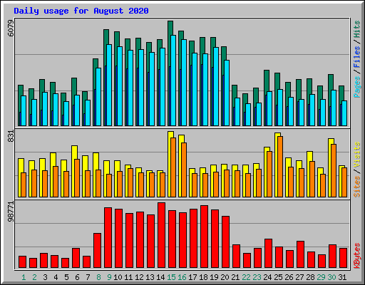 Daily usage for August 2020
