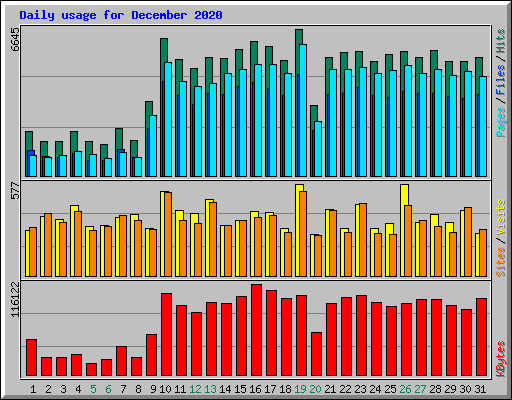 Daily usage for December 2020