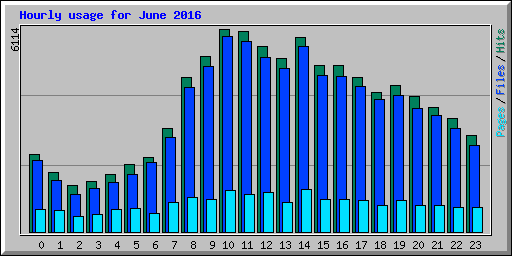 Hourly usage for June 2016