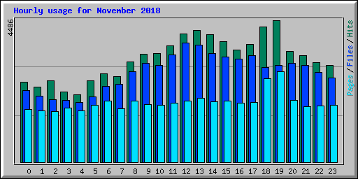 Hourly usage for November 2018