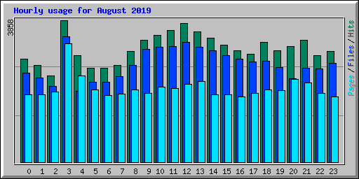 Hourly usage for August 2019