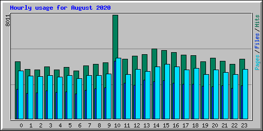 Hourly usage for August 2020