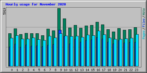 Hourly usage for November 2020