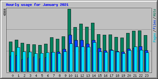 Hourly usage for January 2021
