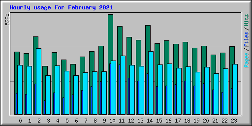 Hourly usage for February 2021