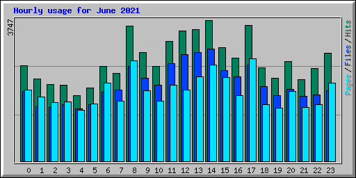 Hourly usage for June 2021